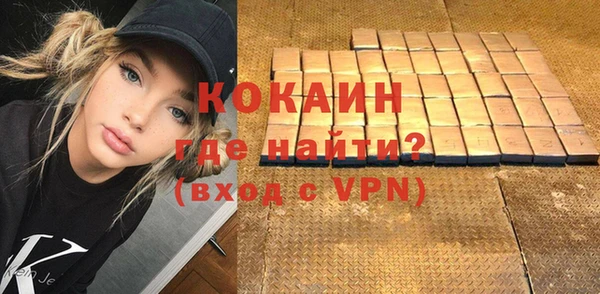 хмурый Аркадак