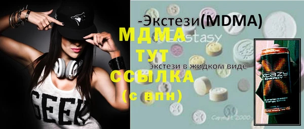 хмурый Аркадак