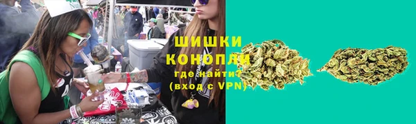 хмурый Аркадак