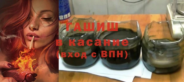 хмурый Аркадак