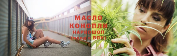 хмурый Аркадак