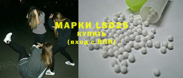 хмурый Аркадак