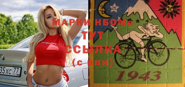 хмурый Аркадак