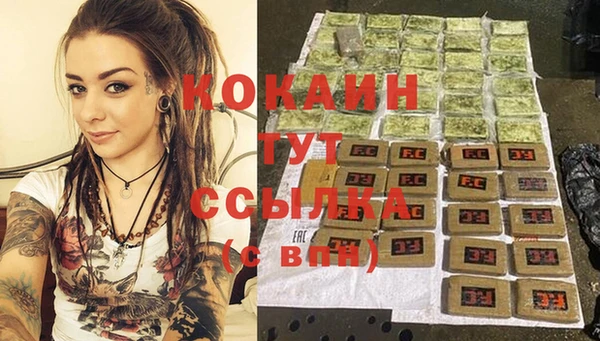 хмурый Аркадак