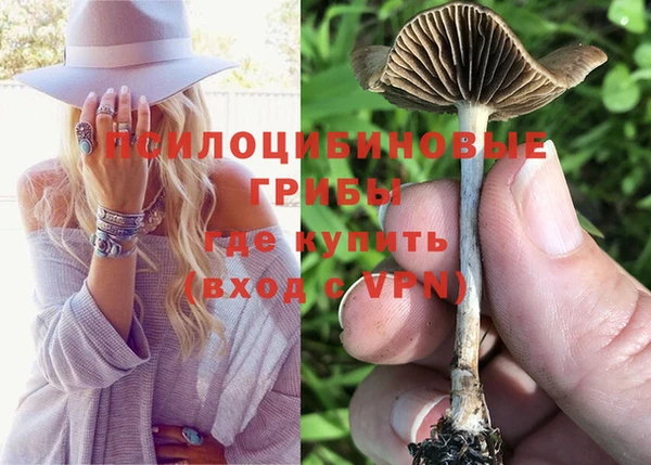альфа пвп Армянск