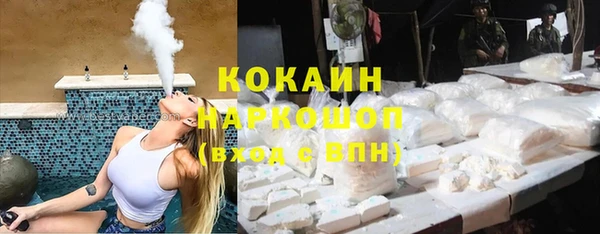 хмурый Аркадак