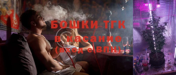 хмурый Аркадак