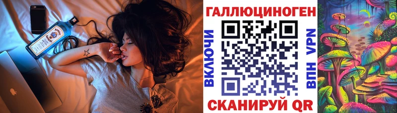 Галлюциногенные грибы Psilocybe  Купить где  Дедовск 